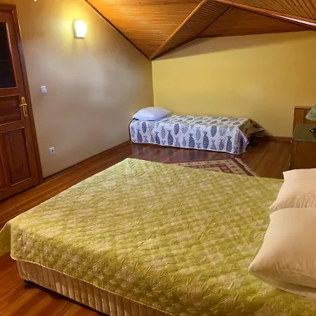 Sapanca Kartepe 4 Seasons Villa Ski, Forest, Lake, Pool
